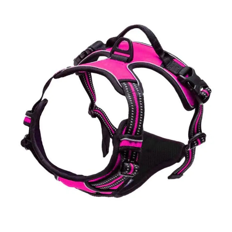 Pawlio Front-Clip Reflective Harness