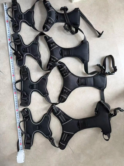 Pawlio Front-Clip Reflective Harness