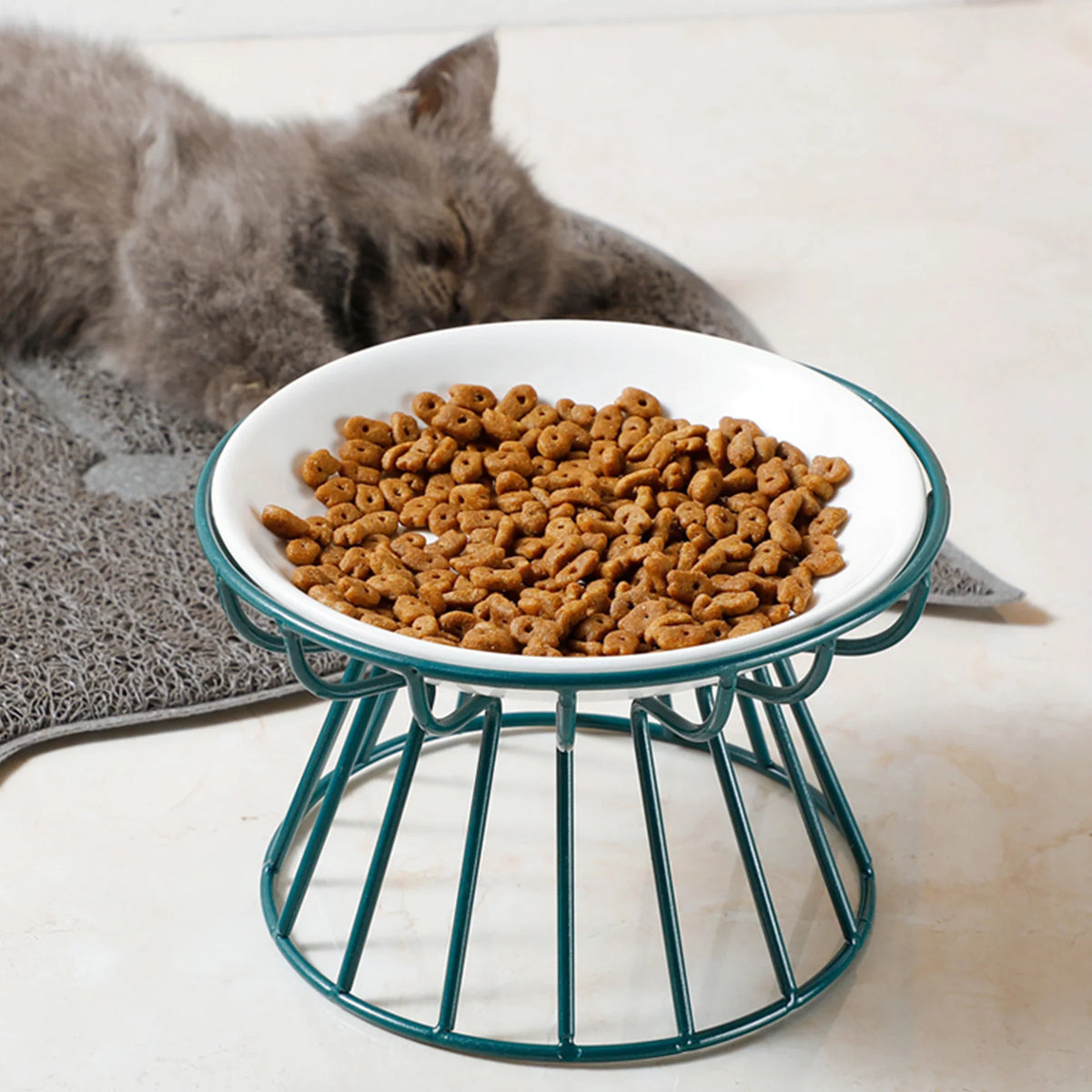 Pawlio Elevated Ceramic Pet Bowl