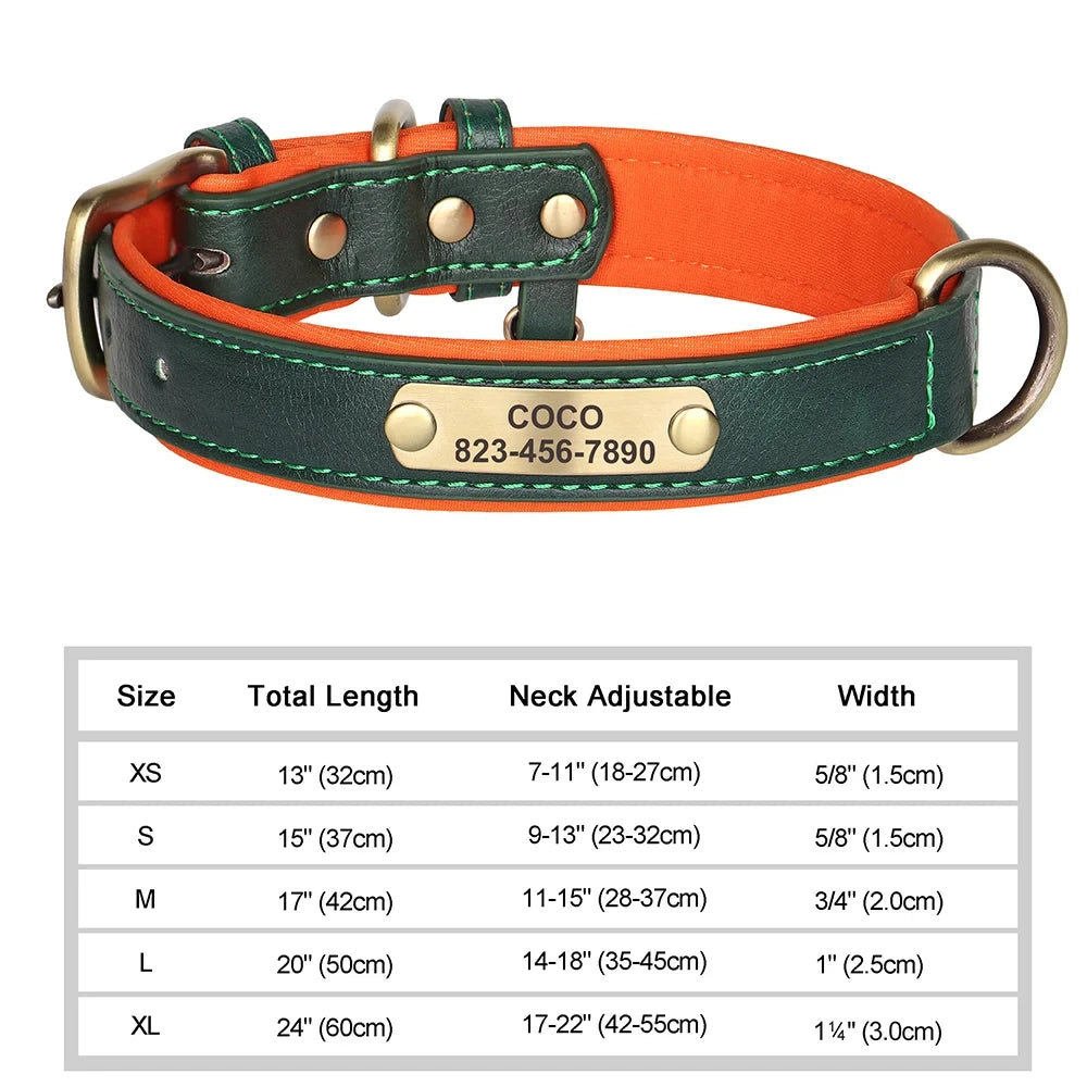 Pawlio Personalized ID Dog Collar