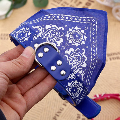 Pawlio Bandana Dog & Cat Collar