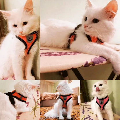 Pawlio Mesh Harness & Leash Set