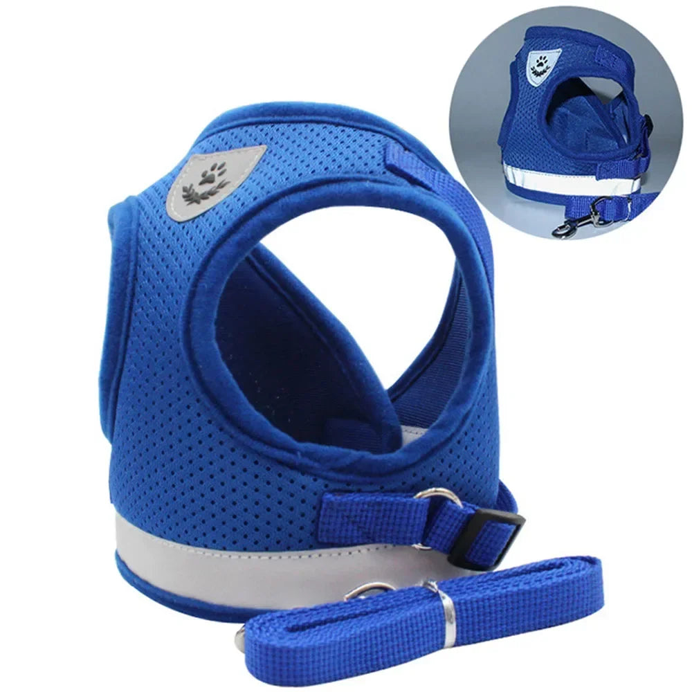 Pawlio Reflective Cat Harness & Leash