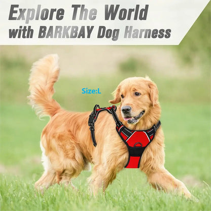Pawlio Front-Clip Reflective Harness