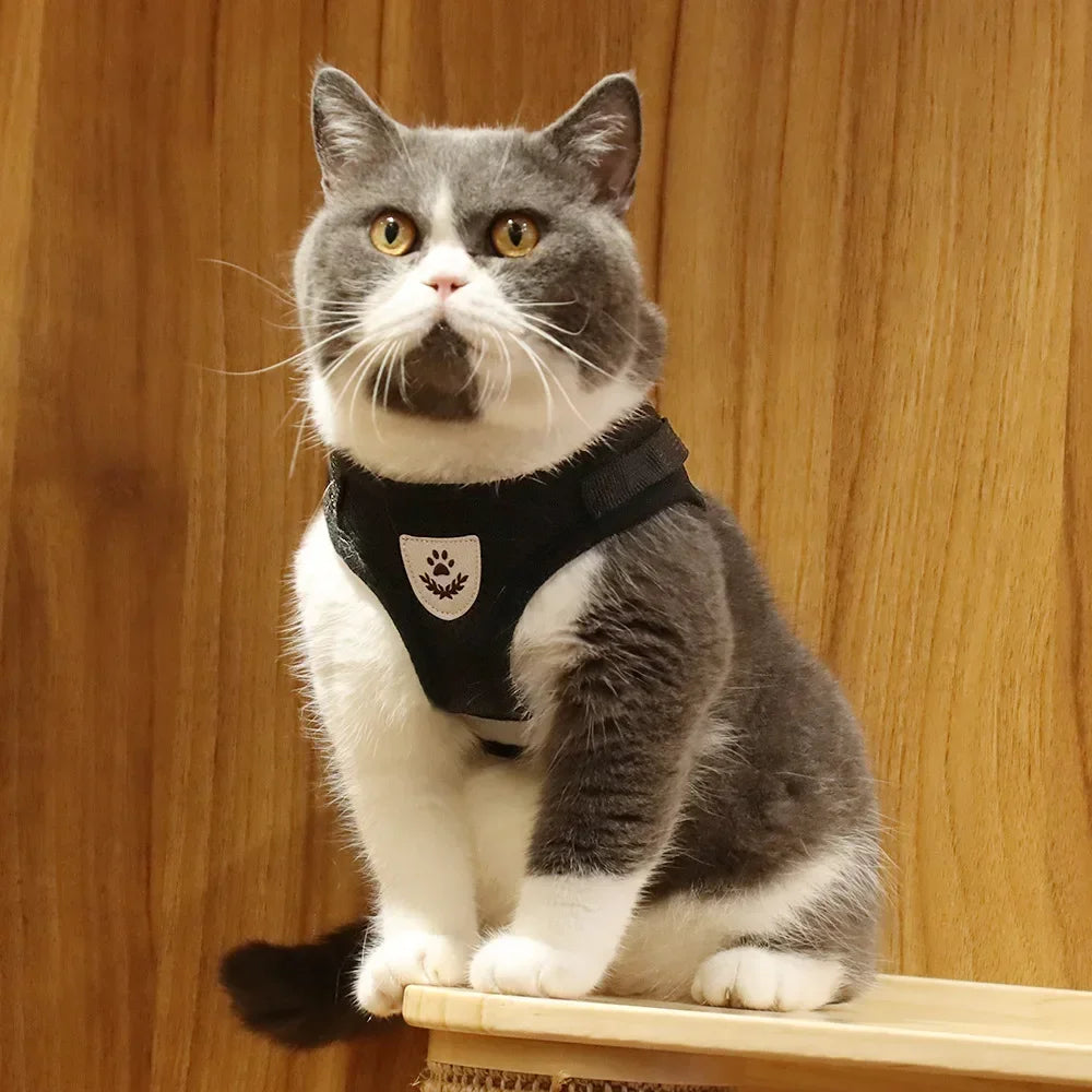 Pawlio Reflective Cat Harness & Leash