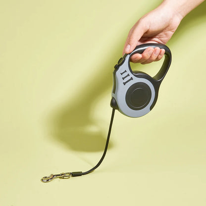 Pawlio Retractable Walk Leash
