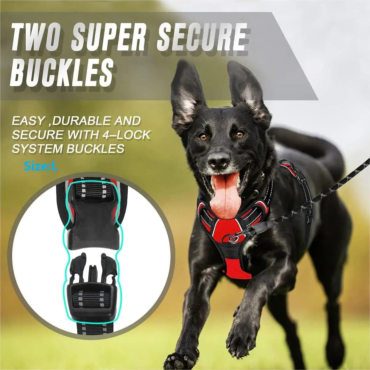 Pawlio Front-Clip Reflective Harness