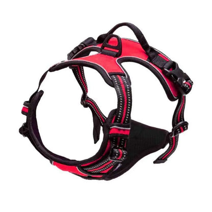 Pawlio Front-Clip Reflective Harness