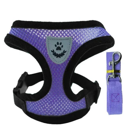 Pawlio Mesh Harness & Leash Set