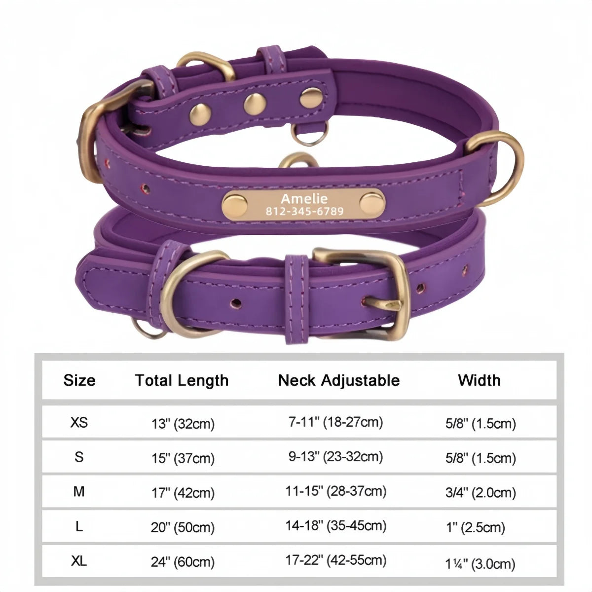 Pawlio Personalized ID Dog Collar