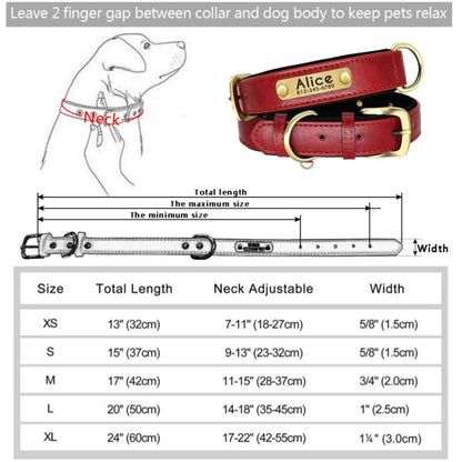 Pawlio Personalized ID Dog Collar