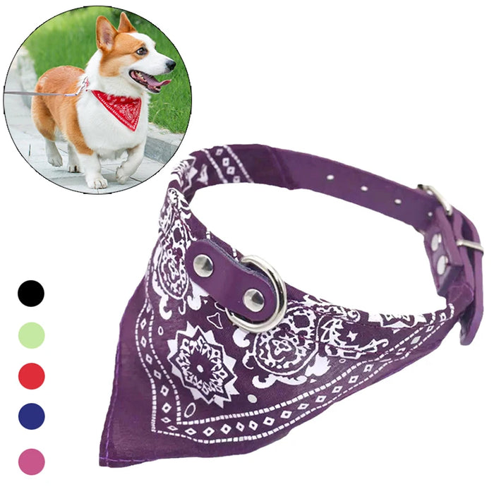 Pawlio Bandana Dog & Cat Collar