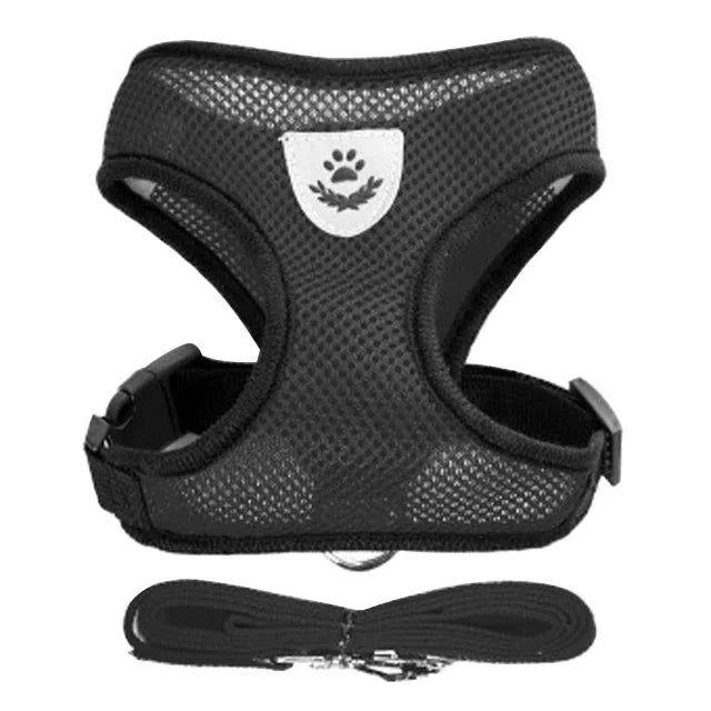 Pawlio Mesh Harness & Leash Set