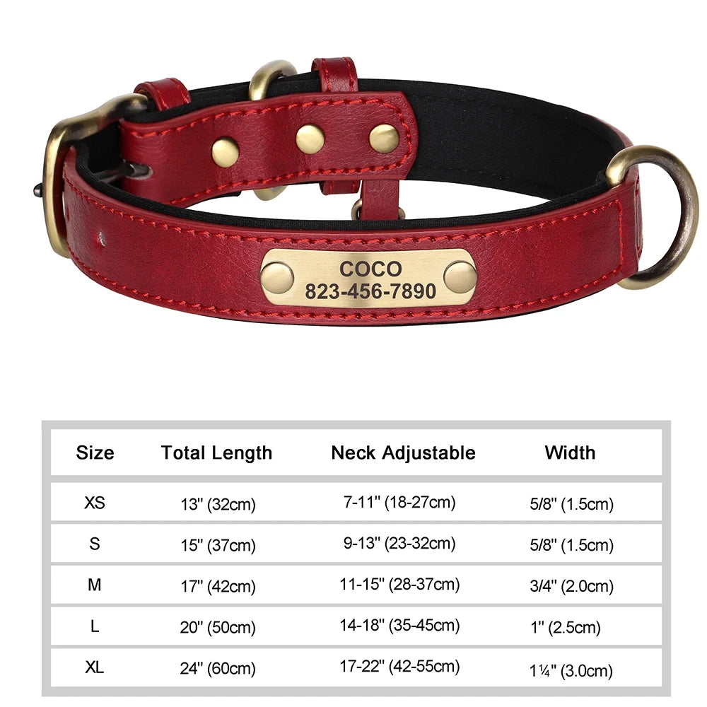Pawlio Personalized ID Dog Collar