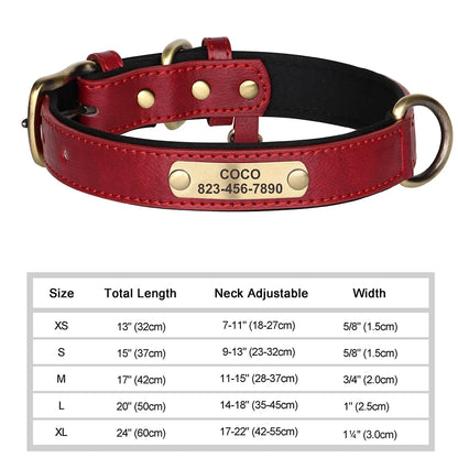 Pawlio Personalized ID Dog Collar