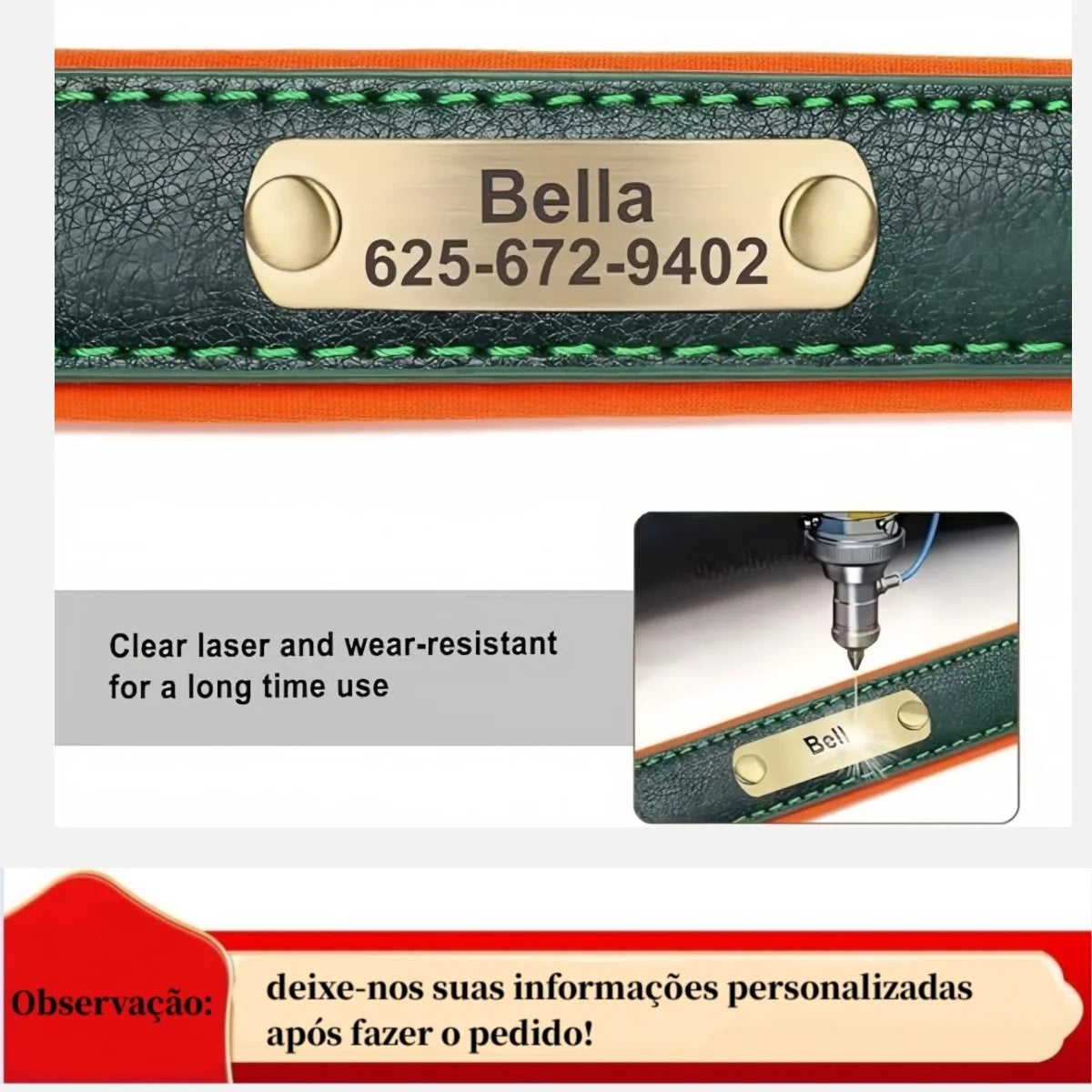 Pawlio Personalized ID Dog Collar
