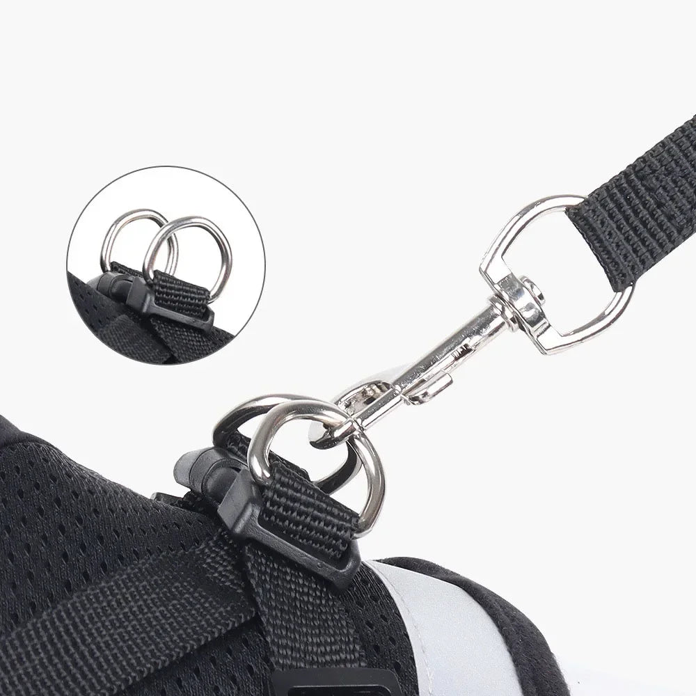 Pawlio Reflective Cat Harness & Leash