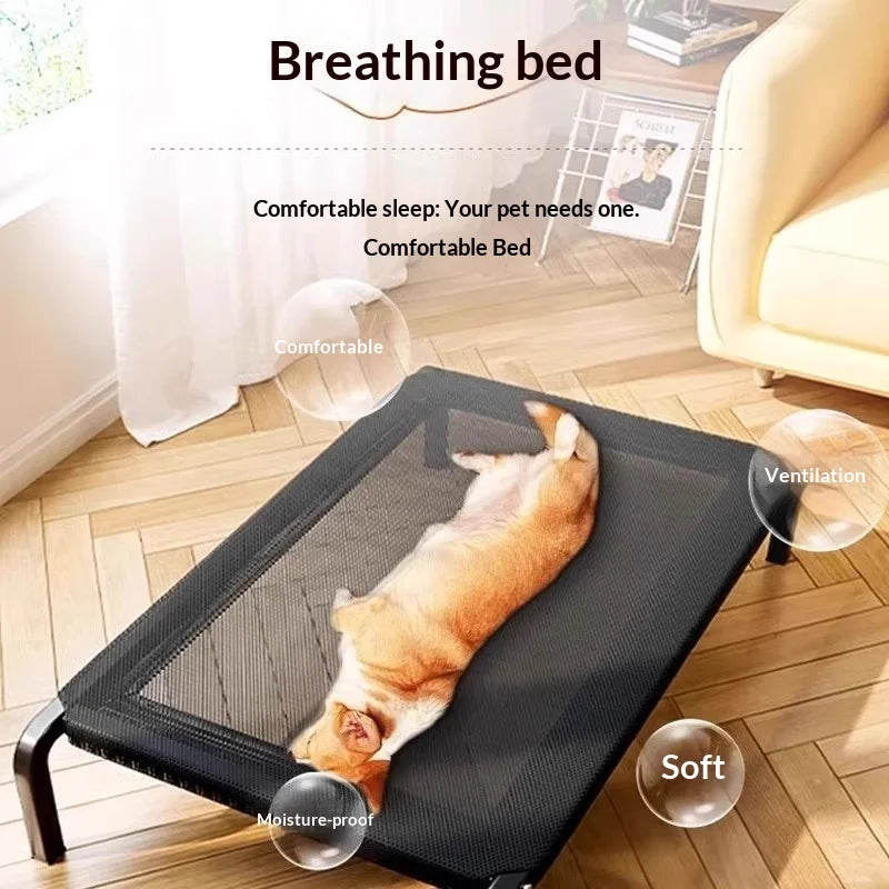 Pawlio Elevated Outdoor Pet Bed
