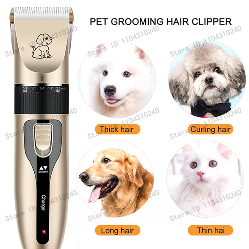 Pawlio Pet Grooming Clipper Kit