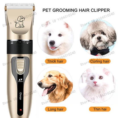 Pawlio Pet Grooming Clipper Kit