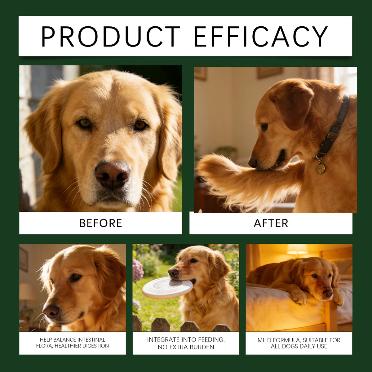 Pawlio Daily Gut Support Powder for Dogs