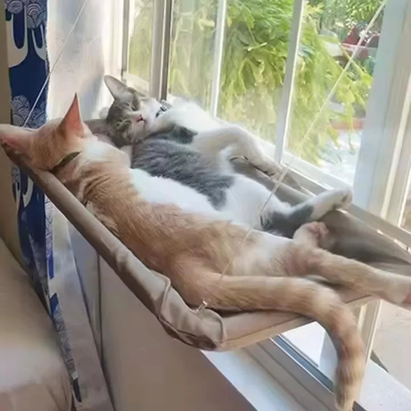 Pawlio Window Cat Hammock