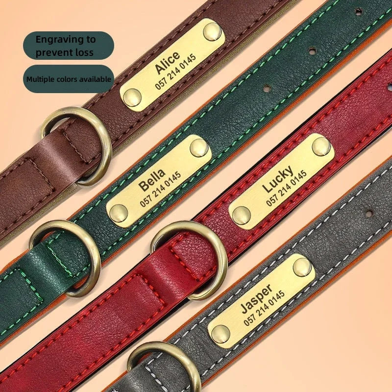 Pawlio Personalized ID Dog Collar
