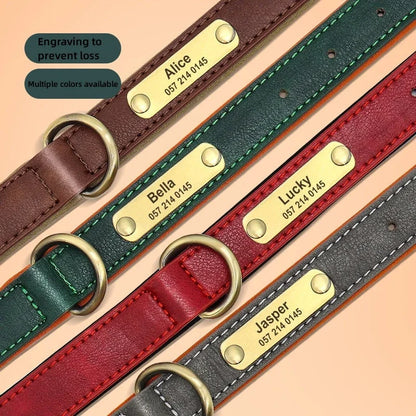 Pawlio Personalized ID Dog Collar