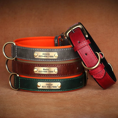 Pawlio Personalized ID Dog Collar