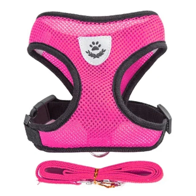 Pawlio Mesh Harness & Leash Set