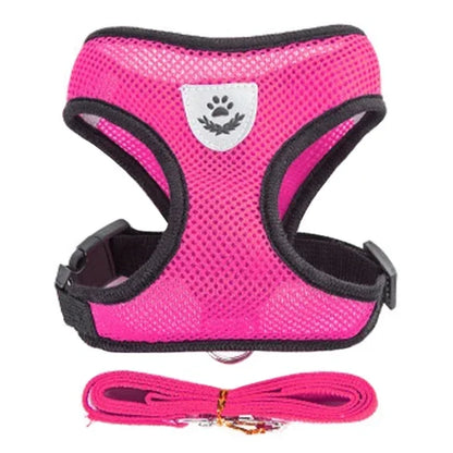 Pawlio Mesh Harness & Leash Set