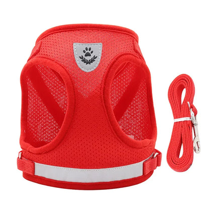 Pawlio Reflective Cat Harness & Leash