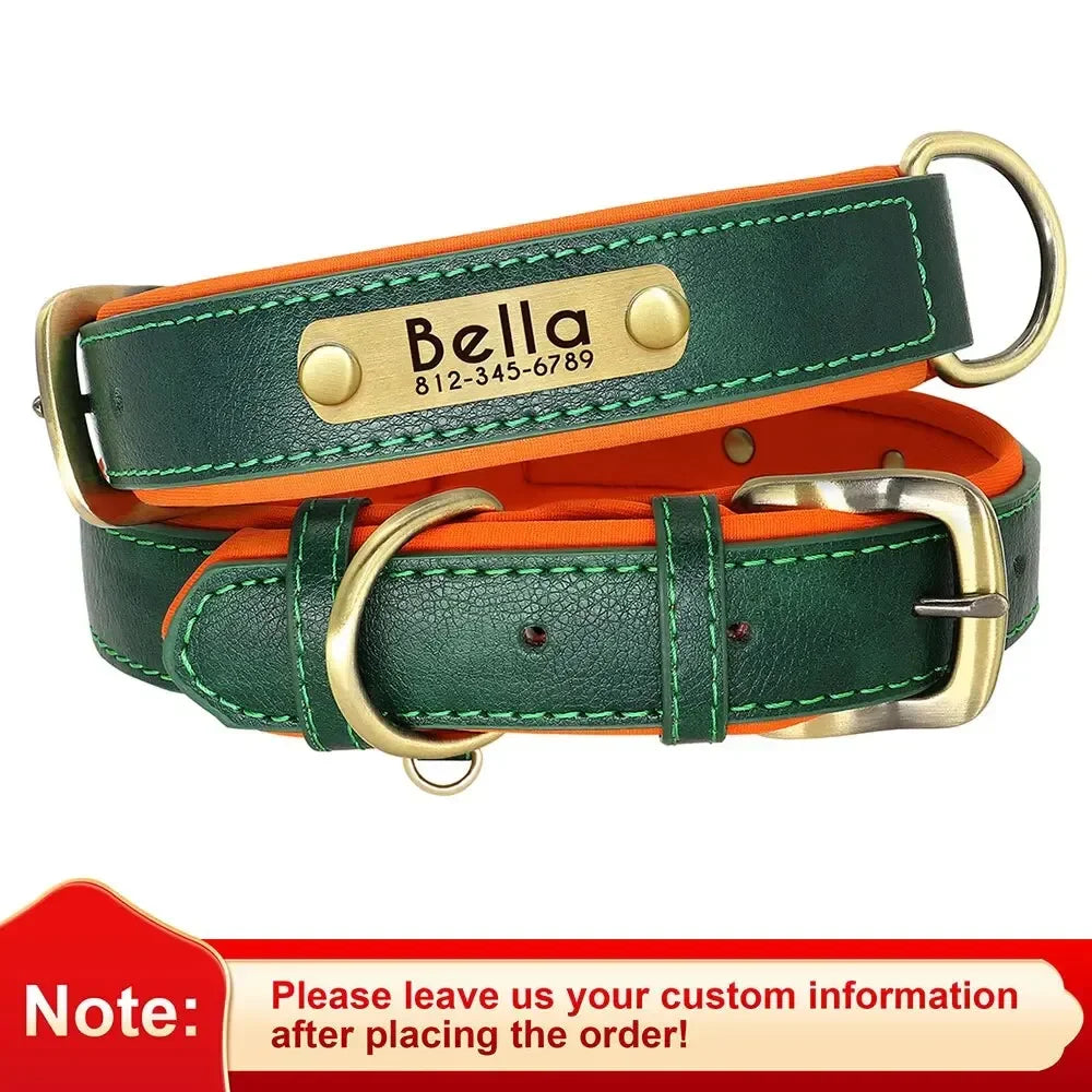 Pawlio Personalized ID Dog Collar