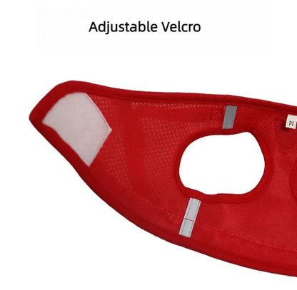 Pawlio Reflective Cat Harness & Leash