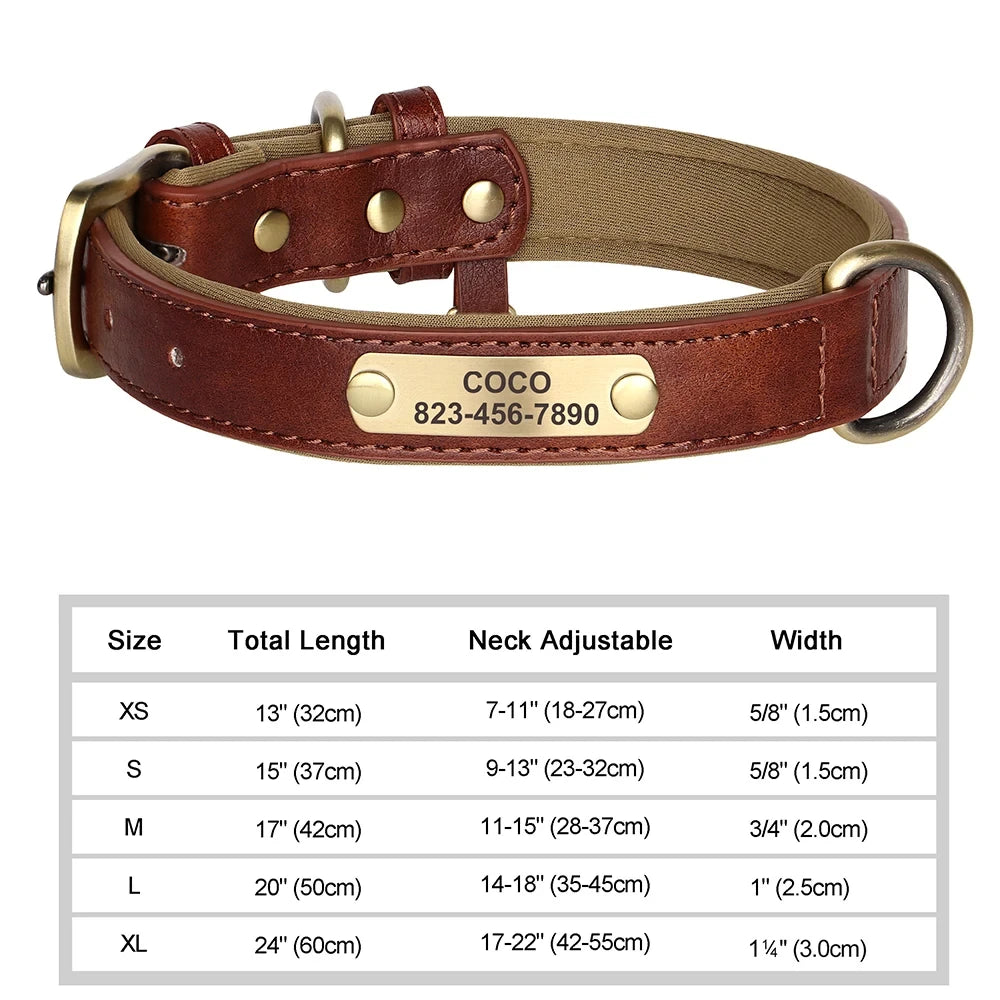 Pawlio Personalized ID Dog Collar