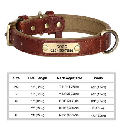 Pawlio Personalized ID Dog Collar