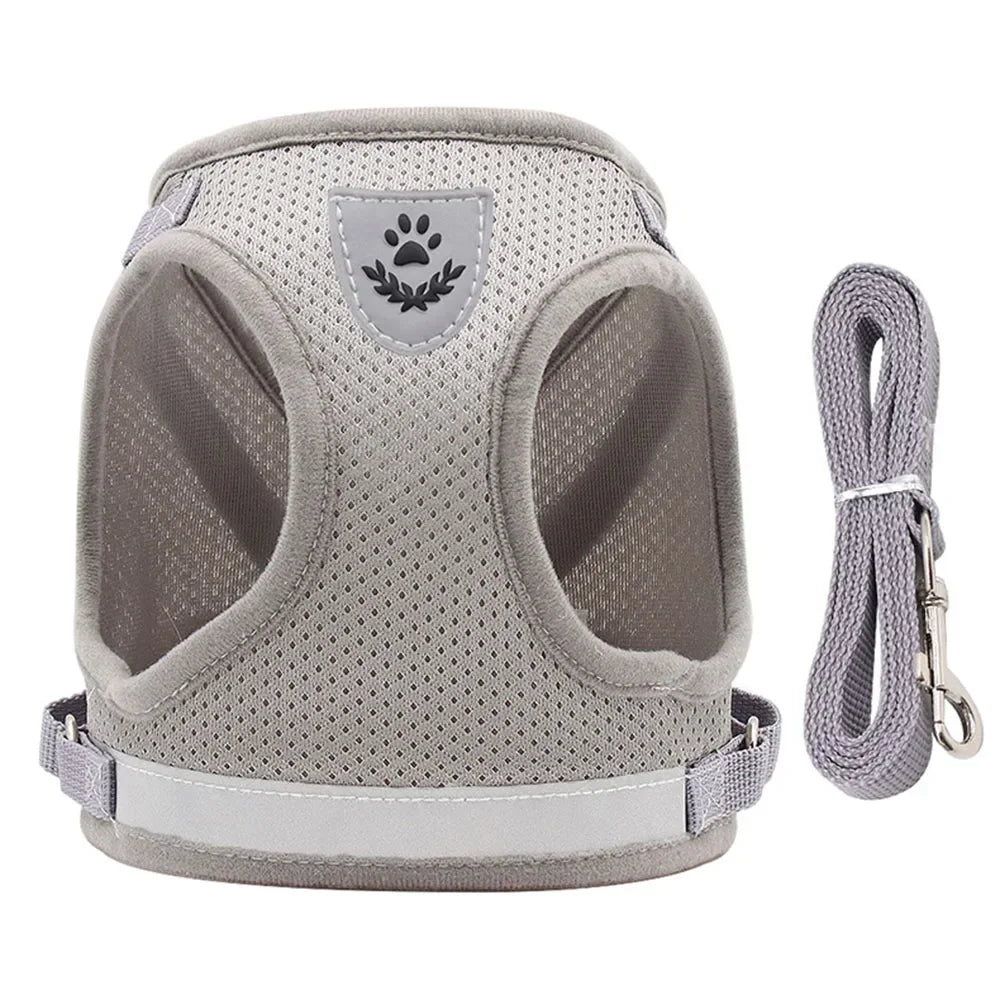Pawlio Reflective Cat Harness & Leash