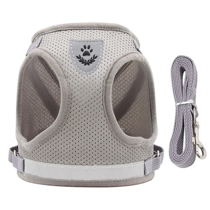 Pawlio Reflective Cat Harness & Leash