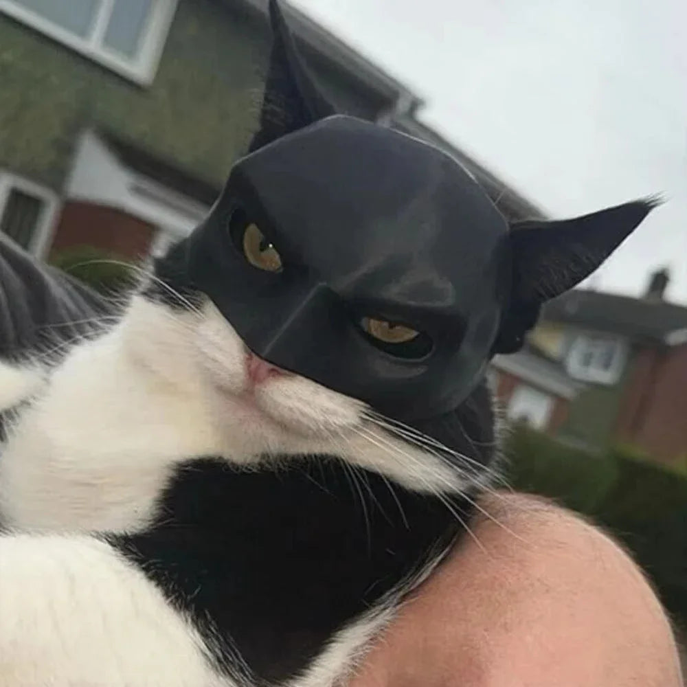 Pawlio Cat Bat Mask