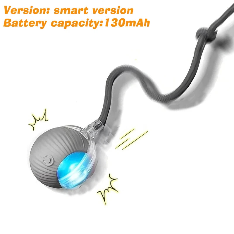 Pawlio Smart Rolling Ball