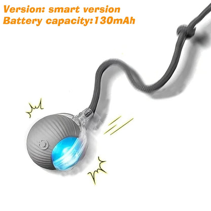 Pawlio Smart Rolling Ball