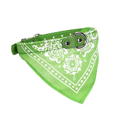 Pawlio Bandana Dog & Cat Collar