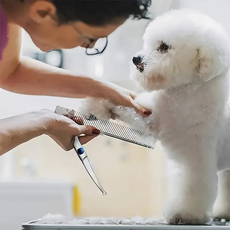 Pawlio Pet Grooming Scissors Set