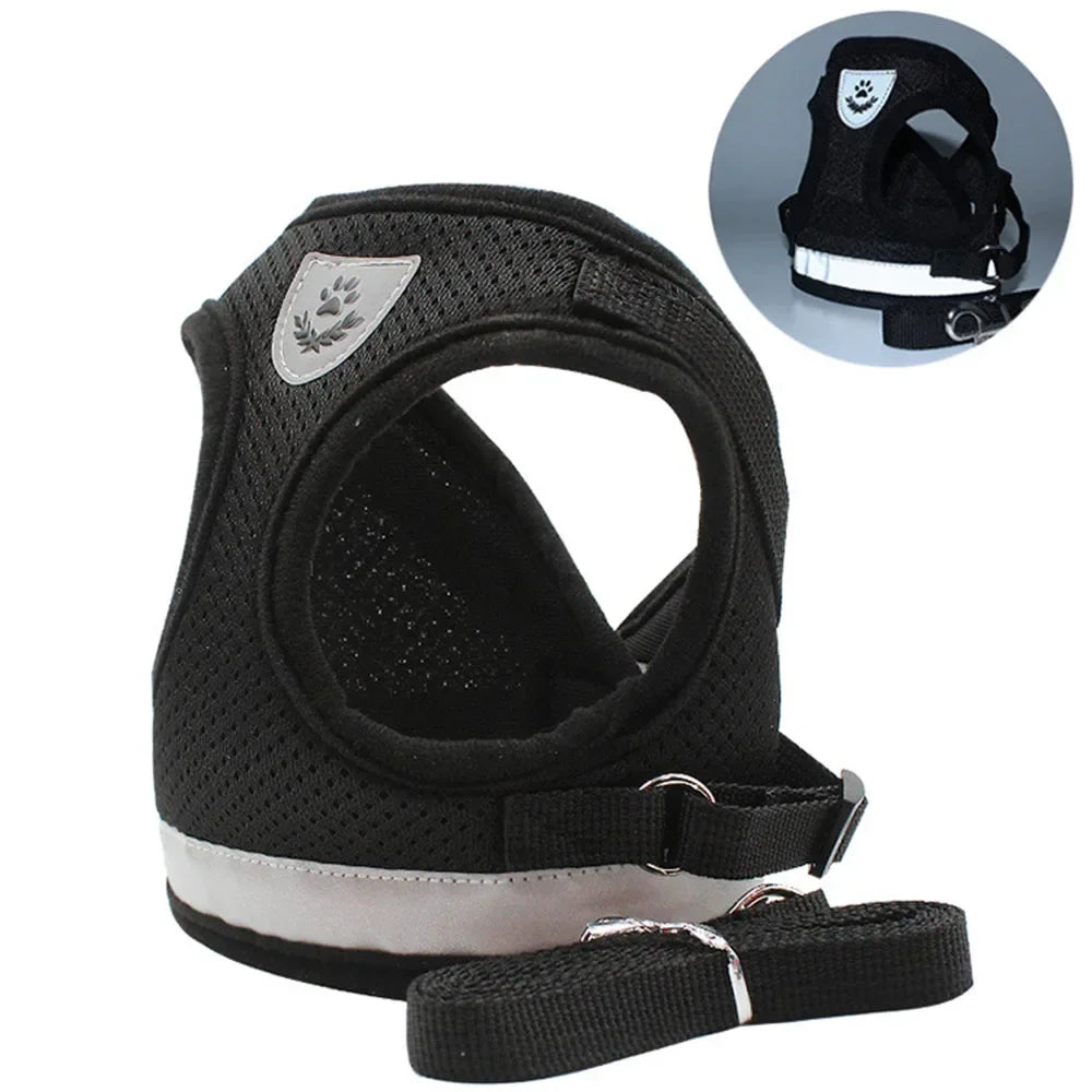 Pawlio Reflective Cat Harness & Leash