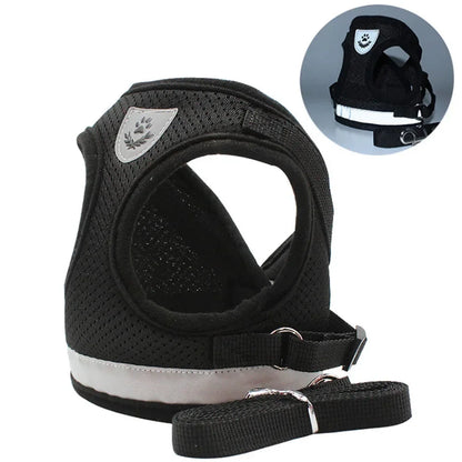Pawlio Reflective Cat Harness & Leash