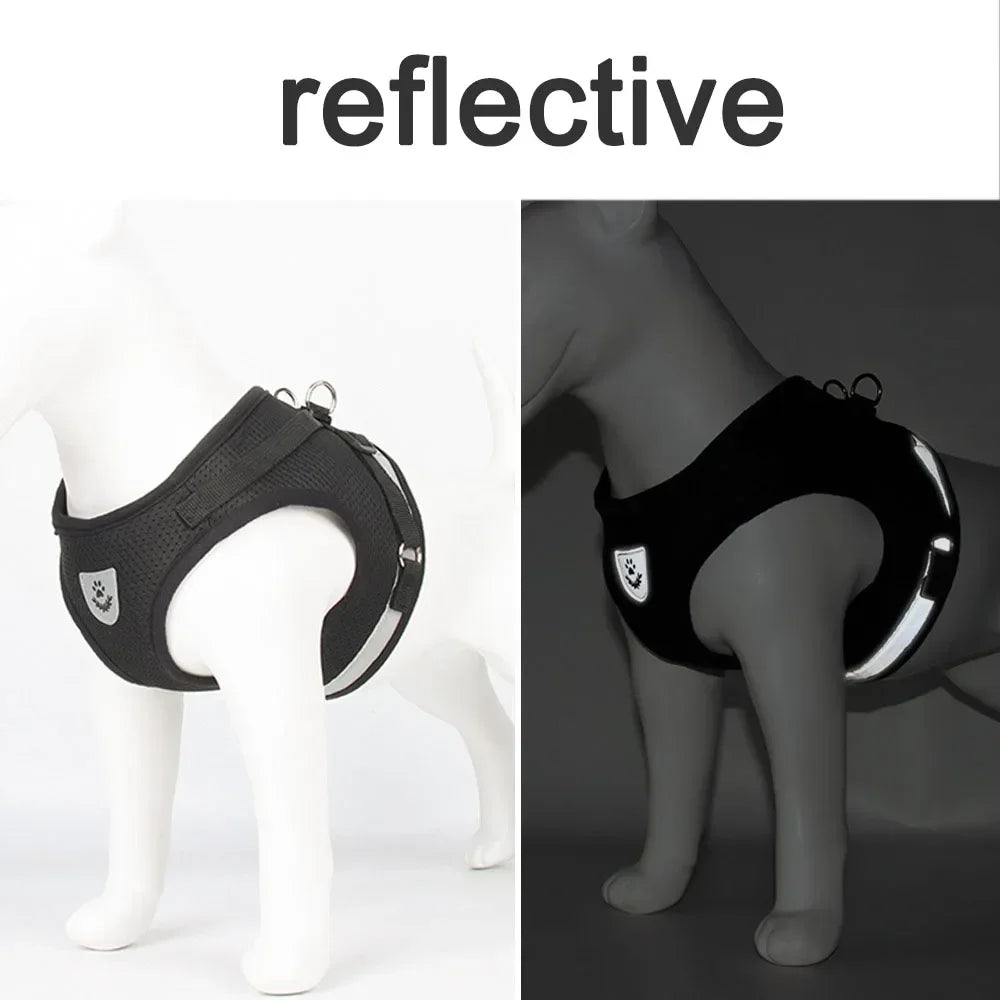 Pawlio Reflective Cat Harness & Leash