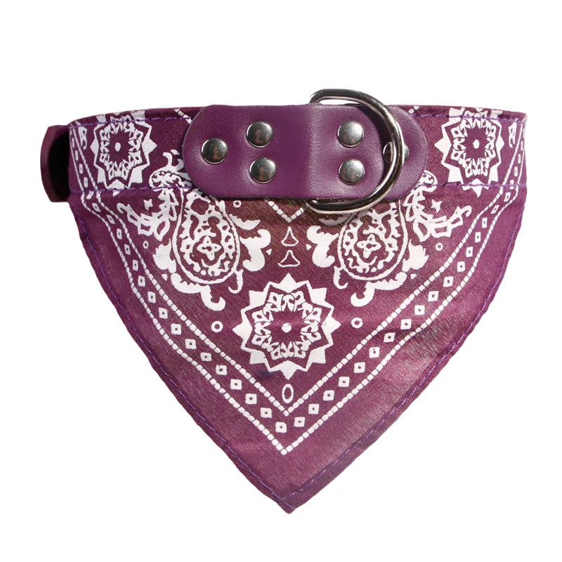 Pawlio Bandana Dog & Cat Collar