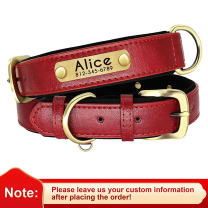Pawlio Personalized ID Dog Collar