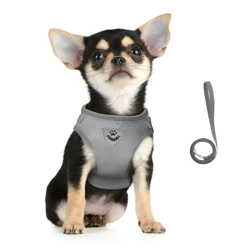 Pawlio Reflective Cat Harness & Leash