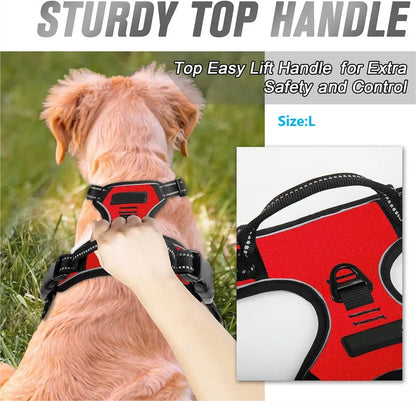 Pawlio Front-Clip Reflective Harness